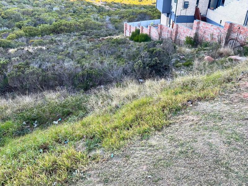 0 Bedroom Property for Sale in Seemeeu Park Western Cape